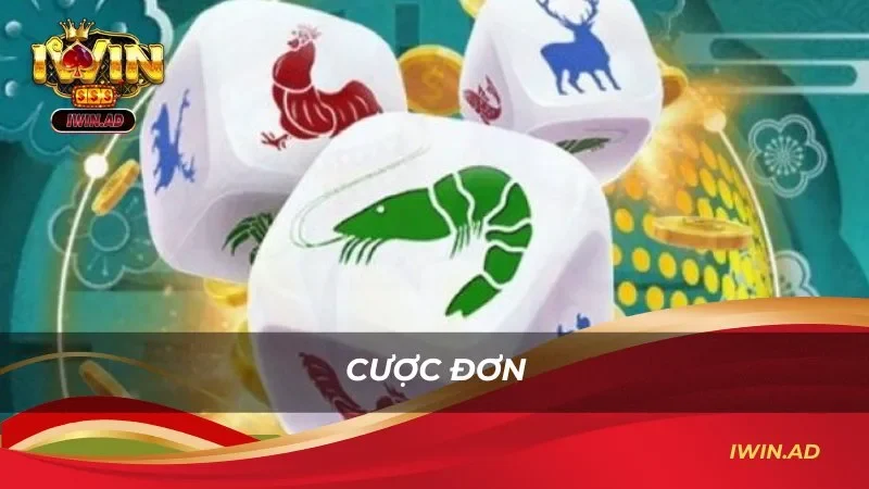 Cược đơn