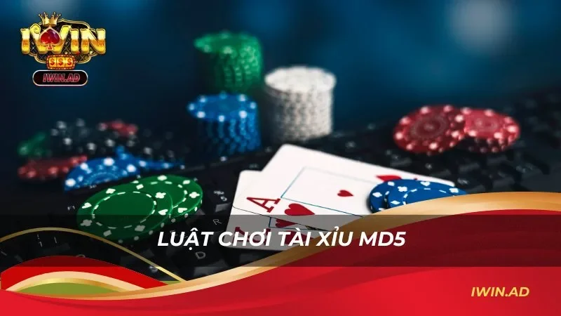 Phổ biến về luật chơi cơ bản trong game tài xỉu md5