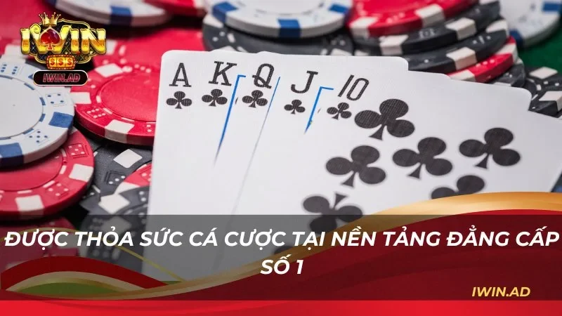 Được thỏa sức cá cược tại nền tảng đẳng cấp số 1