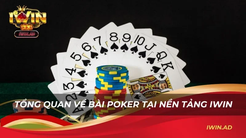 Tổng quan về game bài